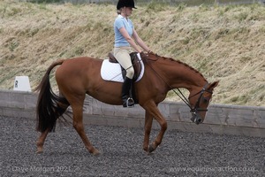 ISIS Dressage Challenge 2008